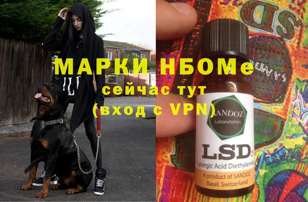 эйфоретик Белокуриха