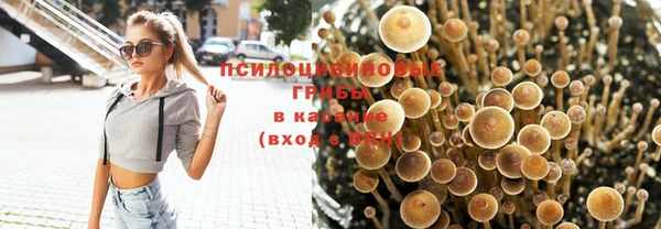эйфоретик Белокуриха